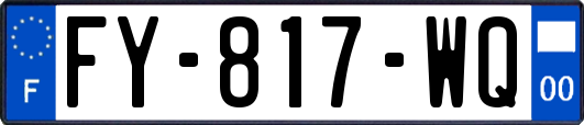 FY-817-WQ