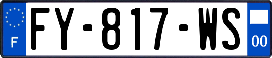 FY-817-WS