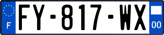 FY-817-WX