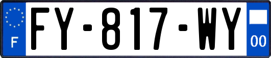 FY-817-WY