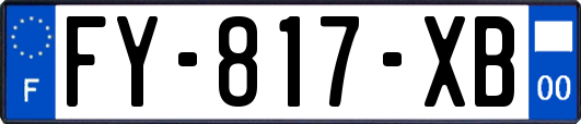 FY-817-XB