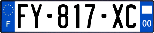 FY-817-XC