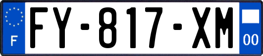FY-817-XM