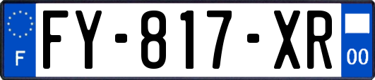FY-817-XR
