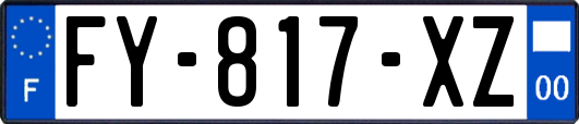 FY-817-XZ