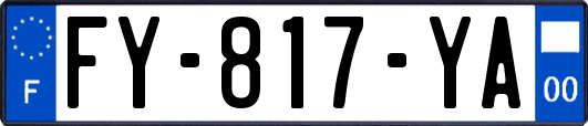 FY-817-YA