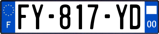 FY-817-YD