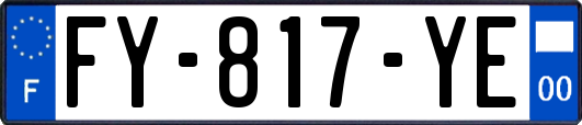 FY-817-YE