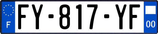 FY-817-YF