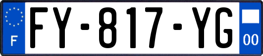 FY-817-YG