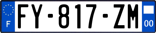 FY-817-ZM
