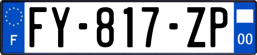 FY-817-ZP