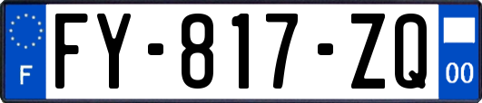 FY-817-ZQ