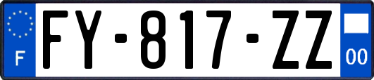 FY-817-ZZ