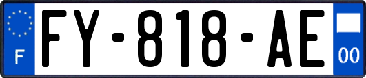 FY-818-AE