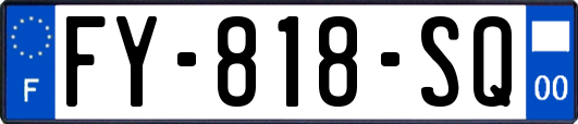 FY-818-SQ