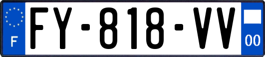 FY-818-VV