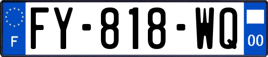 FY-818-WQ
