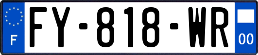 FY-818-WR