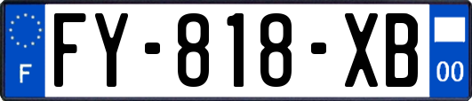 FY-818-XB