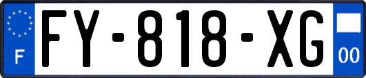 FY-818-XG