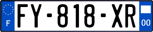 FY-818-XR