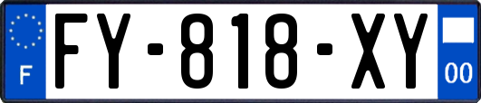 FY-818-XY