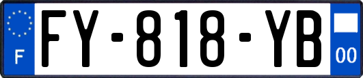 FY-818-YB