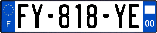 FY-818-YE