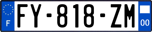 FY-818-ZM