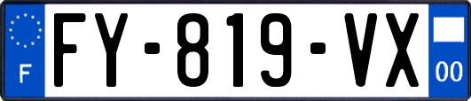 FY-819-VX