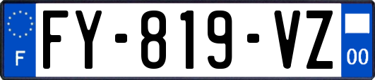 FY-819-VZ