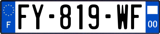 FY-819-WF