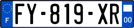 FY-819-XR