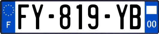 FY-819-YB