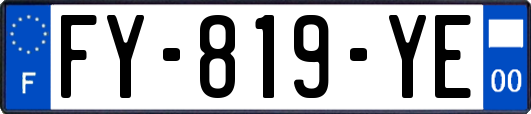 FY-819-YE