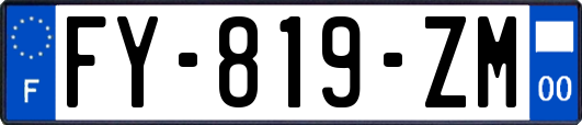 FY-819-ZM