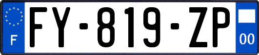 FY-819-ZP