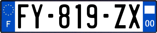 FY-819-ZX