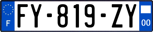 FY-819-ZY