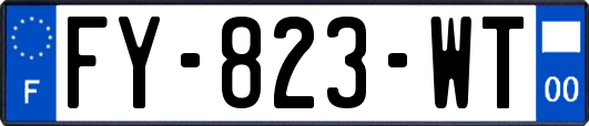 FY-823-WT