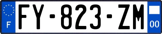 FY-823-ZM