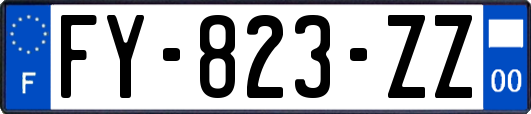 FY-823-ZZ