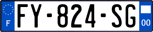 FY-824-SG