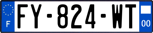 FY-824-WT