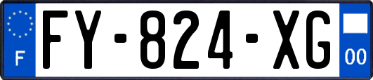 FY-824-XG