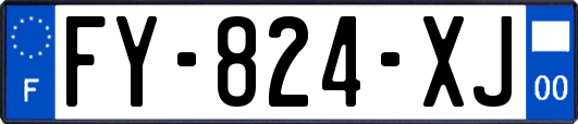FY-824-XJ