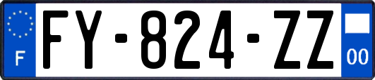 FY-824-ZZ