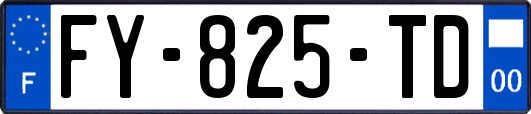 FY-825-TD