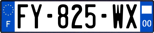 FY-825-WX
